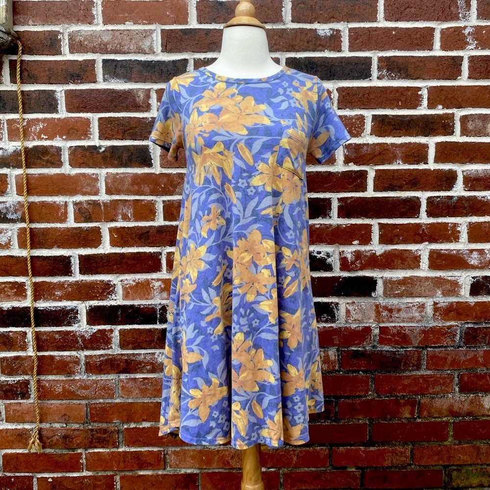 4for $20 LuLaRoe XXS blue and gold floral dress